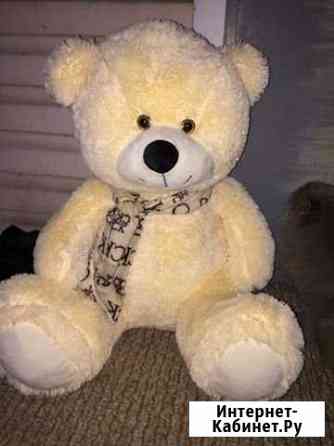 Медведь Новокузнецк