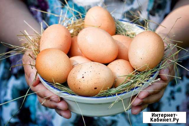Домашние куриные, крупные яйца Алексеевка - изображение 1