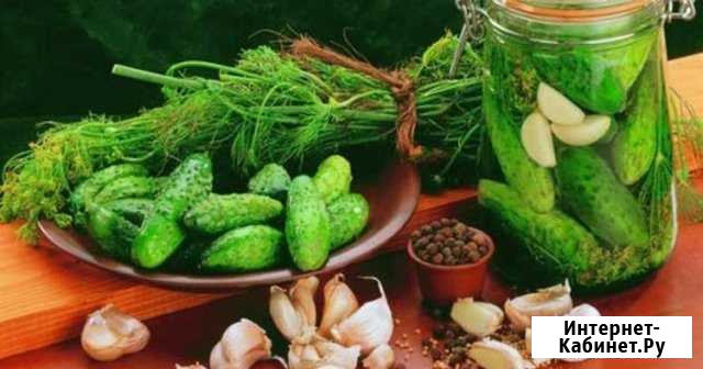 Огурцы свежие, маринованные и соленые Сертолово - изображение 1