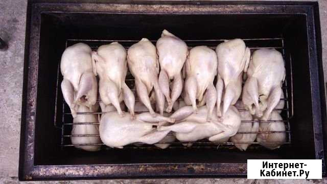 Перепела Химки - изображение 1