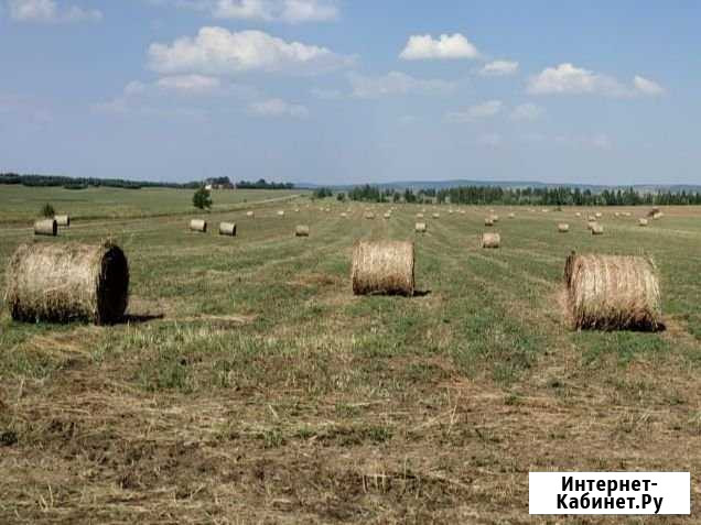 Сено Субханкулово - изображение 1