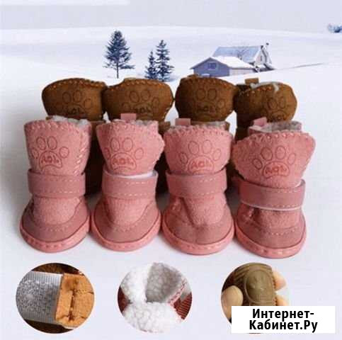 Обувь для собак Коммунарка - изображение 1