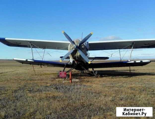 Самолёт ан-2 Магнитогорск - изображение 1