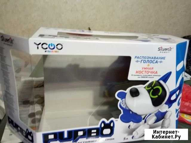 Карантин,повод завести друга Тверь - изображение 1