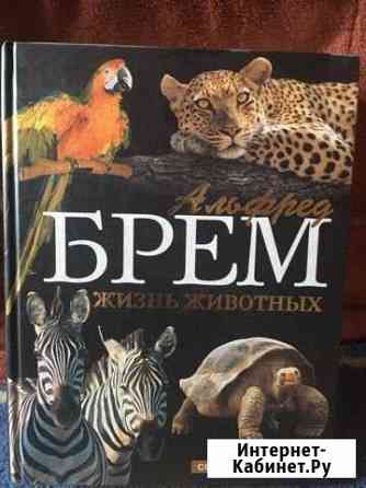 Энциклопедия о жизни животных Димитровград