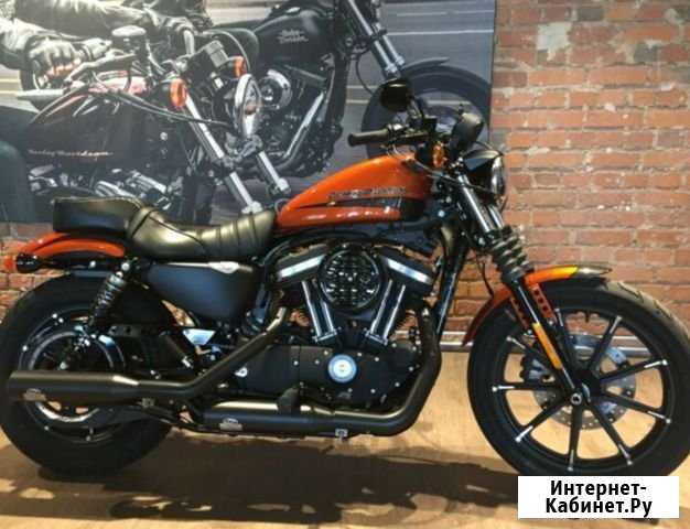 Harley-Davidson Iron 883N Колпино - изображение 1