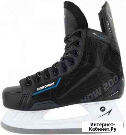 Коньки Вологда