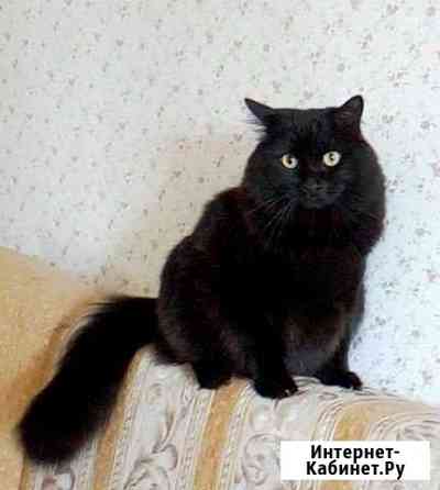 Мурзик) Барнаул