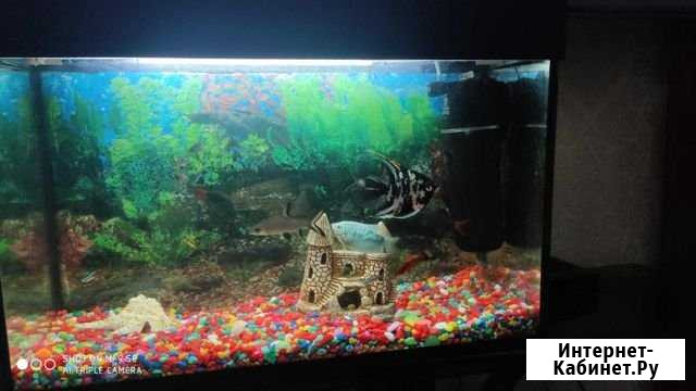 Продам аквариум Орёл - изображение 1