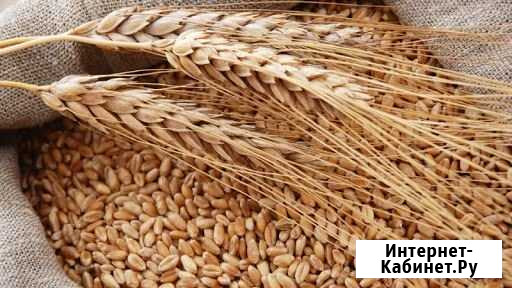 Продам хлеб старый Абинск - изображение 1