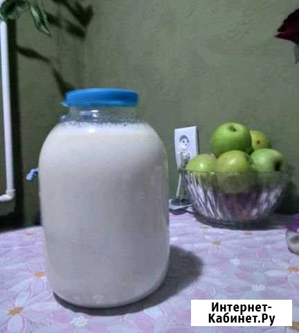Продам коровье молоко Родионово-Несветайская - изображение 1