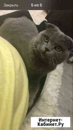 Вязка Саранск