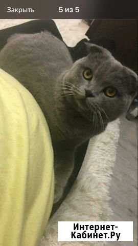 Вязка Саранск - изображение 1