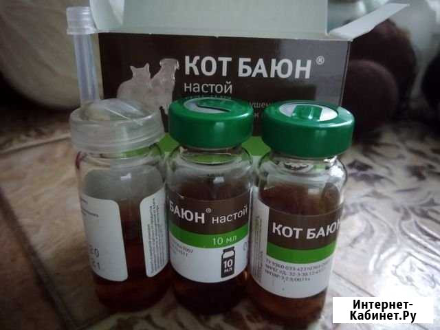 Кот-баюн Балахна - изображение 1