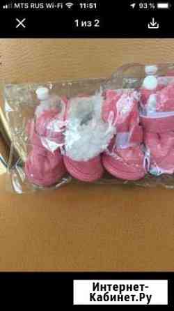 Обувь для маленькой собачки Краснодар