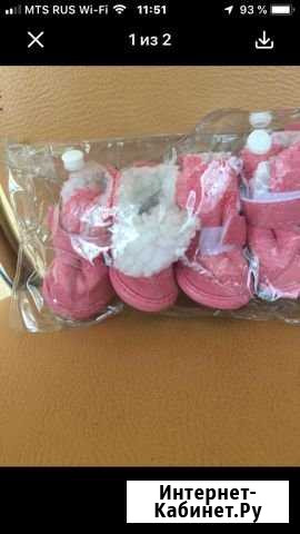 Обувь для маленькой собачки Краснодар - изображение 1