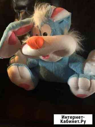 Заяц новый Краснодар