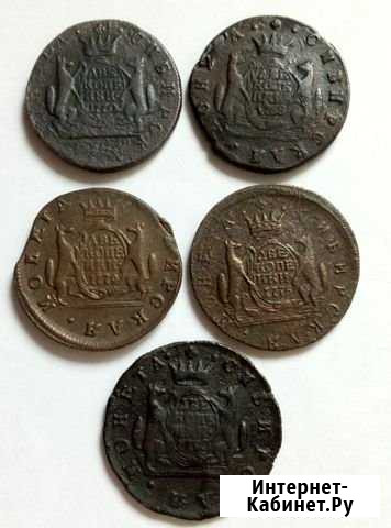 2к1780км сибирь Шадринск - изображение 1