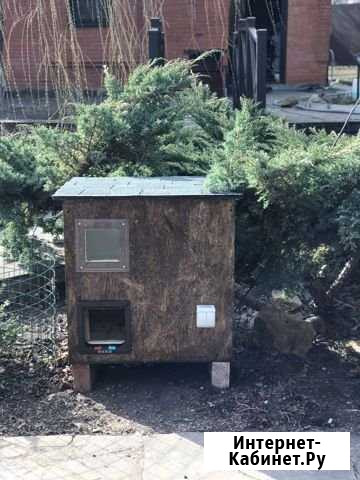 Кошкин дом для улицы Красногорск - изображение 1