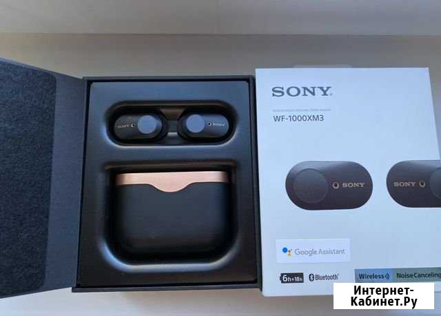 Sony WF-1000xm3 Выборг - изображение 1
