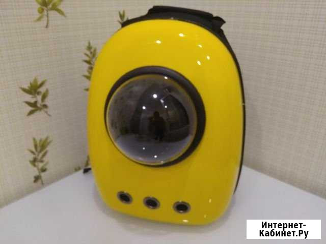 Рюкзак с окном. Переноска для животных Казань - изображение 1