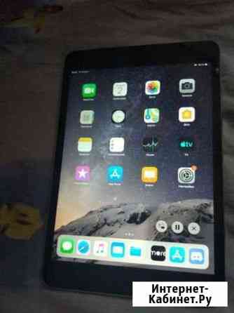 iPad mini 3 Луга
