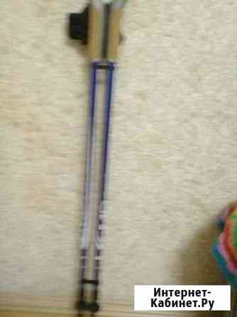 Палки для занятия скандинавской ходьбой Тюмень