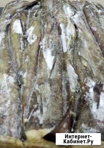 Треска Краснодар - изображение 1