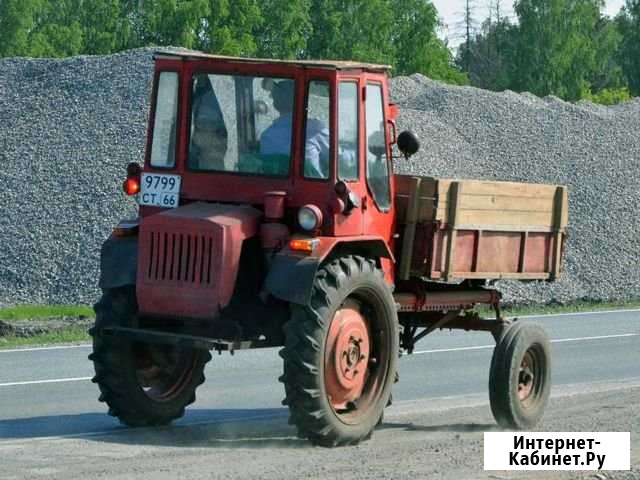 Продам трактор Т-16 Упорово - изображение 1