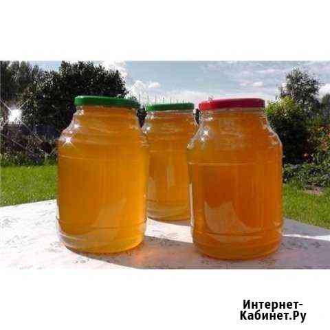 Продаю очень качественный мед Рубцовск