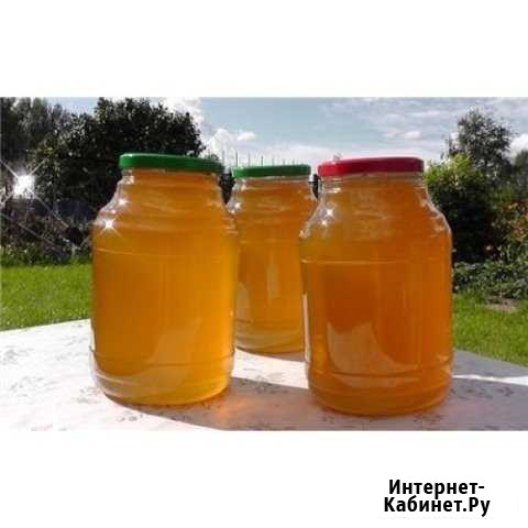 Продаю очень качественный мед Рубцовск - изображение 1