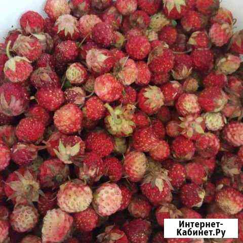 Коломянка Ярославль