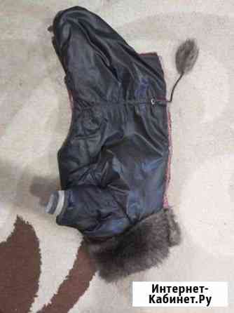 Комбинезон для маленькой собаки Рязань