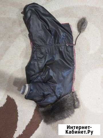 Комбинезон для маленькой собаки Рязань - изображение 1