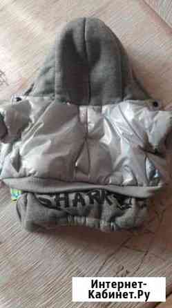 Одежда для маленькой собачки Мурманск