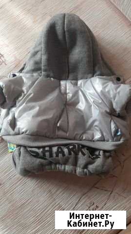 Одежда для маленькой собачки Мурманск - изображение 1