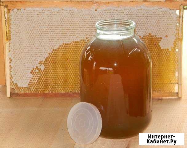 Продается мед подсолнечника Гулькевичи - изображение 1