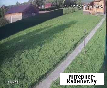 Клевер для корма животным Поварово - изображение 1