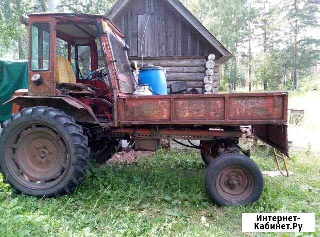 Трактор т16 Кузнецк - изображение 1