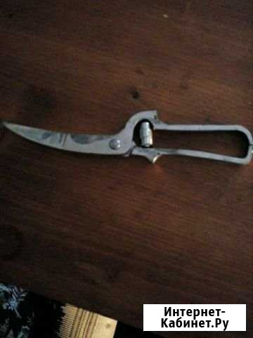 Ножницы,19 век,Solingen Омск - изображение 1