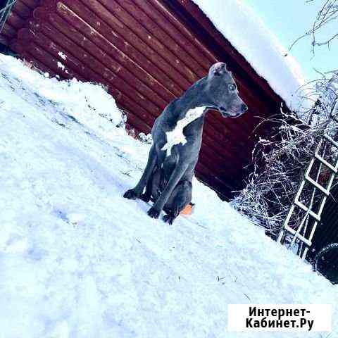 Вязка Нижний Новгород