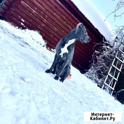 Вязка Нижний Новгород - изображение 1