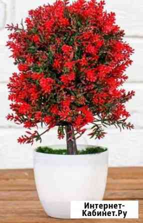 Бонсай Пышное деревце с цветами 12*25 см Волжский Волгоградской области