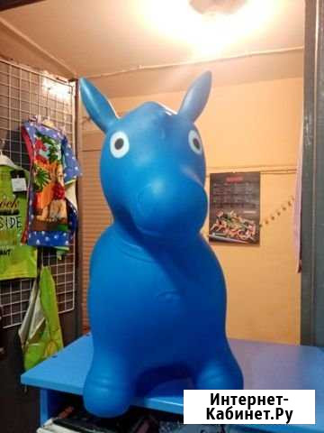 Попрыгун ослик Киров - изображение 1