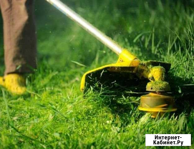 Скос травы Ялуторовск - изображение 1