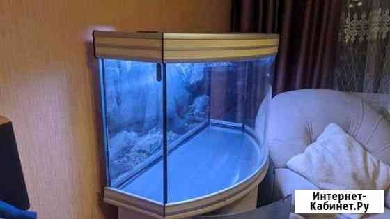 Аквариум Aquatlantis Evasion Horizon 100 Чехов