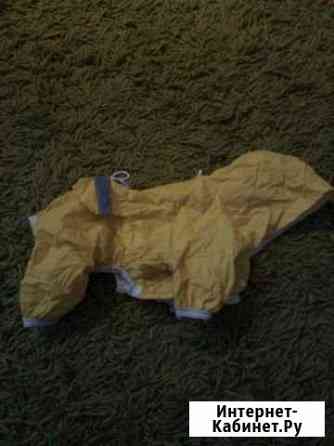 Дождевик для собак Архангельск