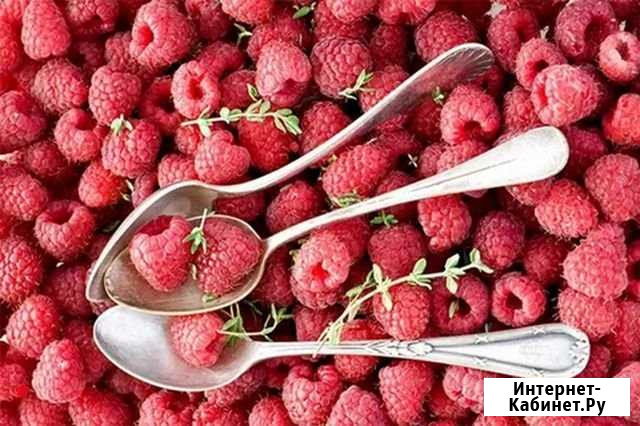 Продаю ягоды Курган - изображение 1