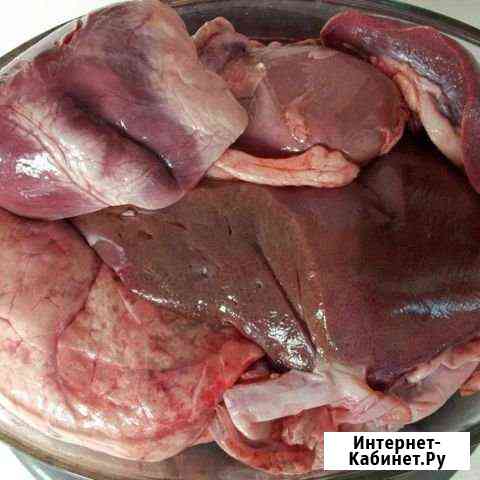 Печень лёгкие сердце Искитим