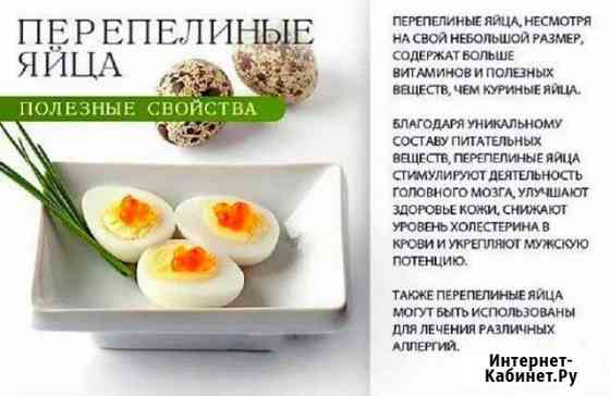 Перепелиное яйцо Димитровград